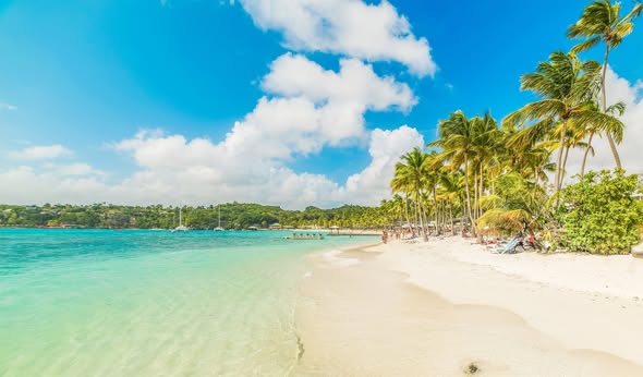 Island Rhythms & Blue Horizons: 14-night Caribbean cruise (Dec 2026)